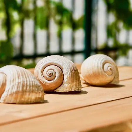 Luxury Minerva Gardens