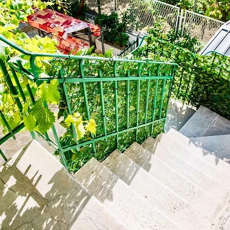 Luxury Minerva Gardens * Spalato