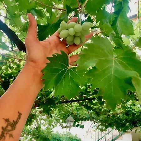 Luxury Minerva Gardens Daire *