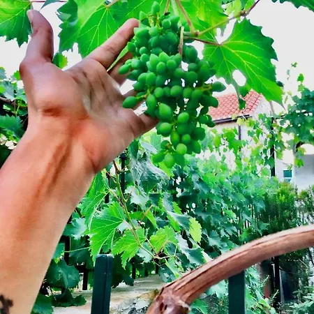 Luxury Minerva Gardens * ספליט