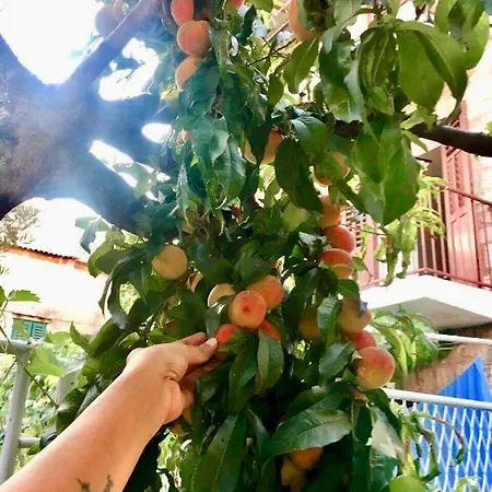 דירה Luxury Minerva Gardens