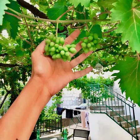 Luxury Minerva Gardens דירה ספליט