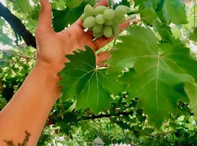 Luxury Minerva Gardens Apartment *