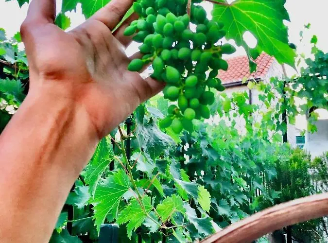 Luxury Minerva Gardens * Split