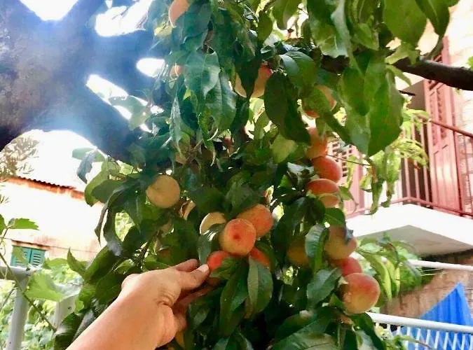 Apartment Luxury Minerva Gardens