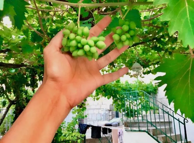 Luxury Minerva Gardens Apartment Split